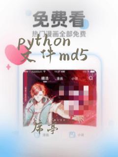python 文件md5