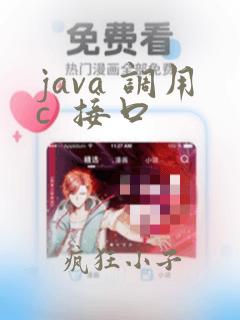 java 调用c  接口