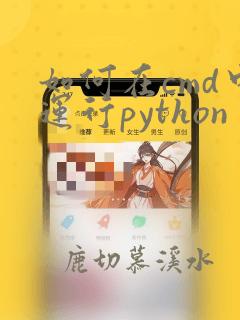 如何在cmd中运行python