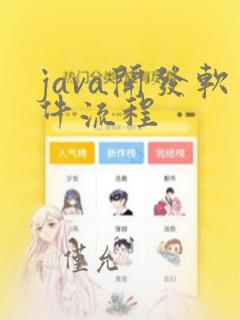 java开发软件流程