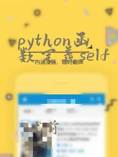 python函数定义self