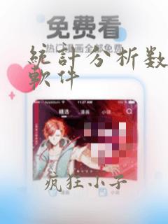 统计分析数据的软件