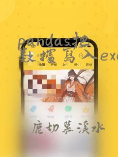 pandas把数据写入excel