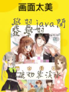学习java开发学习