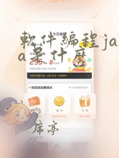 软件编程java是什么