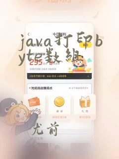 java打印byte数组