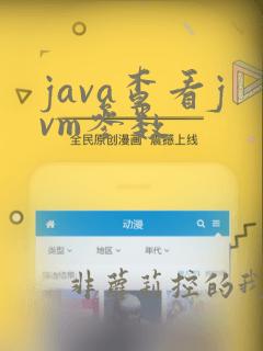 java查看jvm参数
