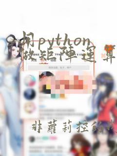 用python做矩阵运算