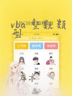 vba 整数类型