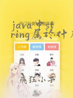 java中string属于什么类型