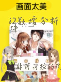 i2数据分析软件