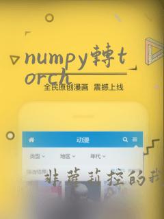 numpy转torch