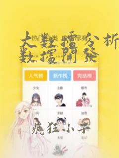 大数据分析与大数据开发