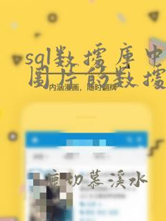 sql数据库中图片的数据类型