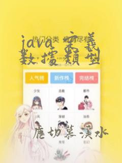 java 定义数据类型