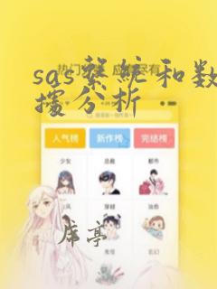 sas系统和数据分析