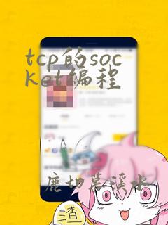 tcp的socket编程