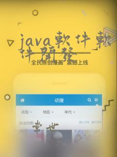 java软件软件开发