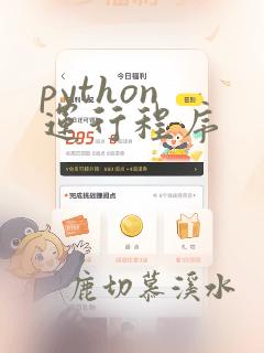 python 运行程序