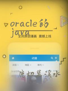 oracle的java