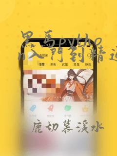 黑马python入门到精通
