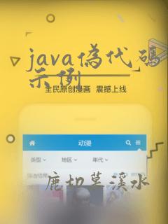 java伪代码示例