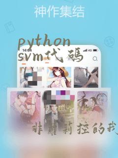 python svm代码