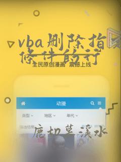 vba删除指定条件的行