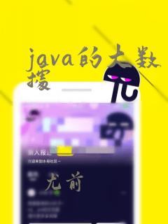 java的大数据