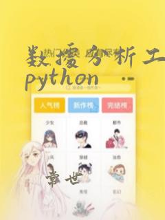 数据分析工具 python