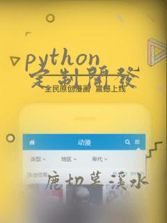 python 定制开发