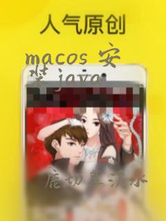 macos 安装java