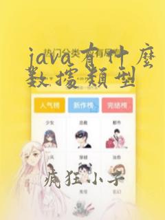 java有什么数据类型