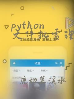 python 文件批处理