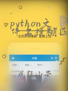 python文件名模糊匹配