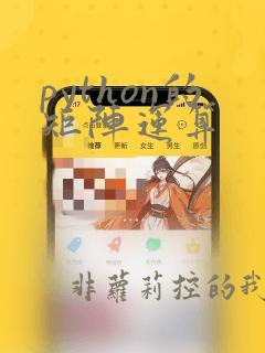 python的矩阵运算