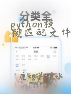 python模糊匹配文件