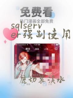 sqlserver强制使用索引
