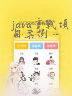 java实战项目案例