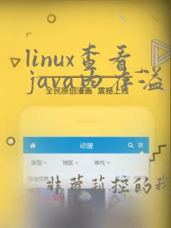 linux查看java内存溢出命令