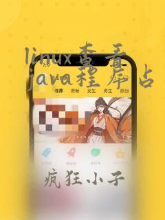 linux查看java程序占用内存