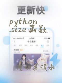 python .size函数