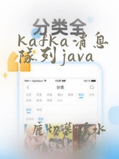 kafka消息队列java