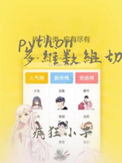 python 多维数组切片