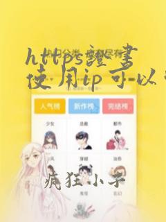 https证书使用ip可以吗