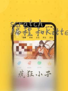 scratch编程和kitten编程一样吗