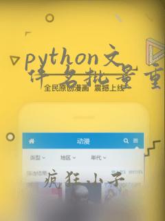 python文件名批量重命名