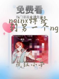nginx转发到另一个nginx