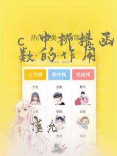 c  中析构函数的作用