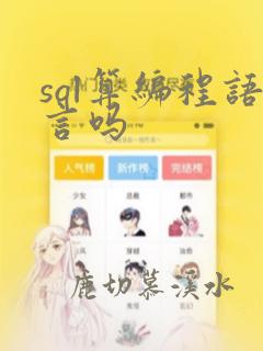 sql算编程语言吗